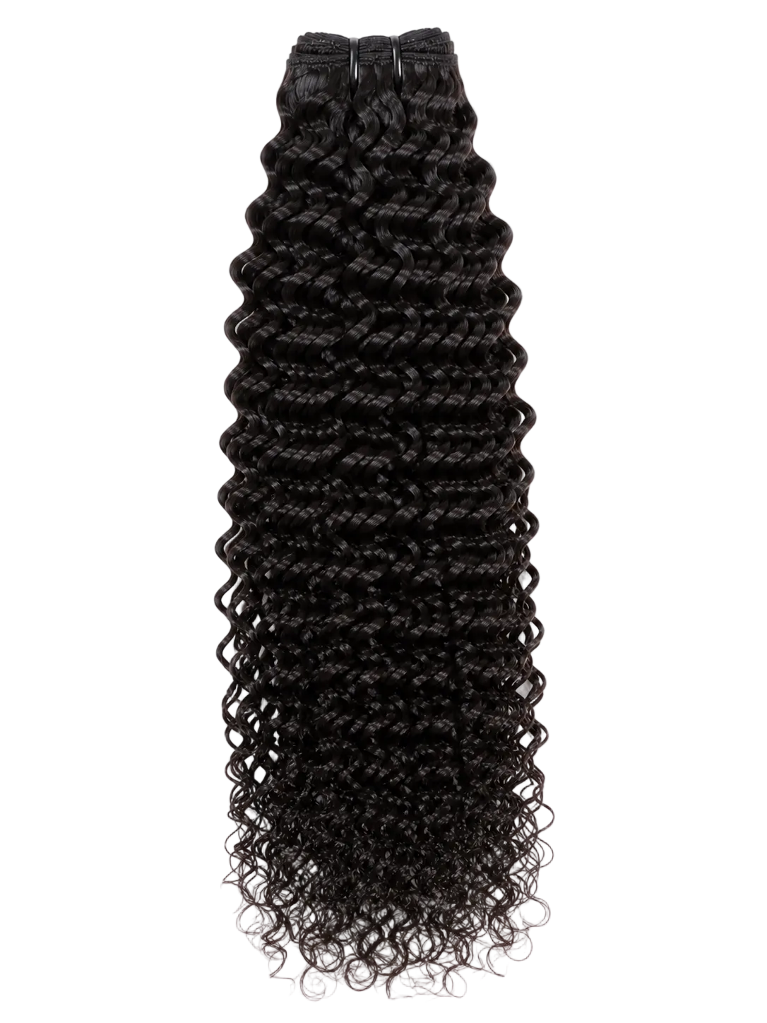 Burmese Curly