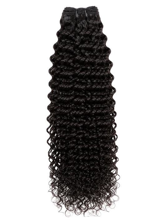 Burmese Curly