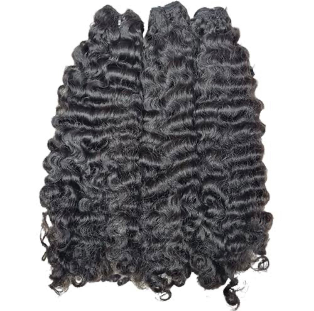 Burmese Curly