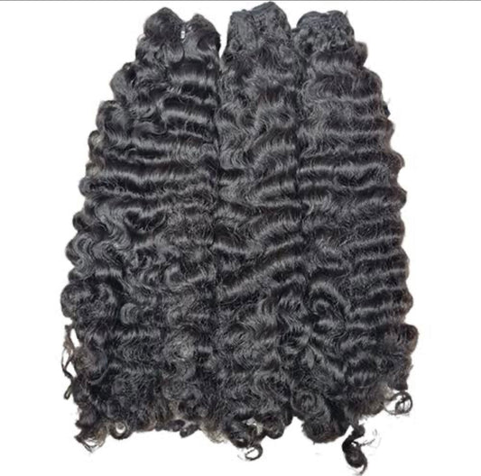 Burmese Curly